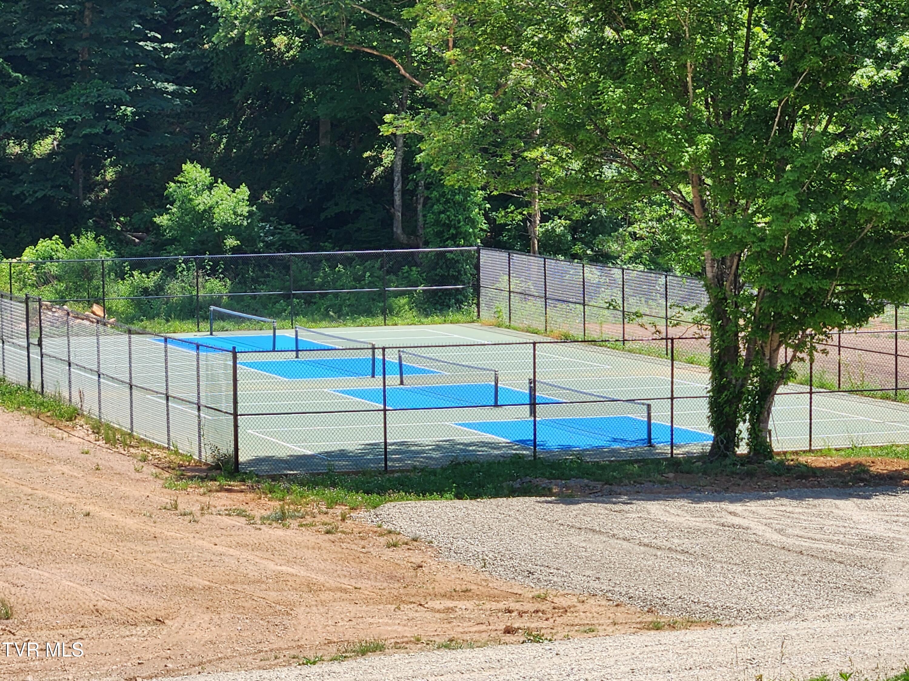 Lot 40 Cowan Town Road, Unit 40 Butler, TN 37640 - Photo 89 of 117 Pickle Ball Courts