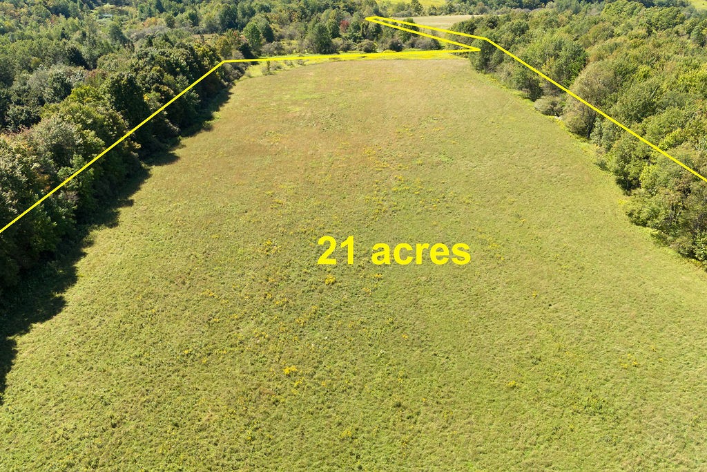 Lot 11 Warren Road Treadwell, NY 13846 - Photo 7 of 10