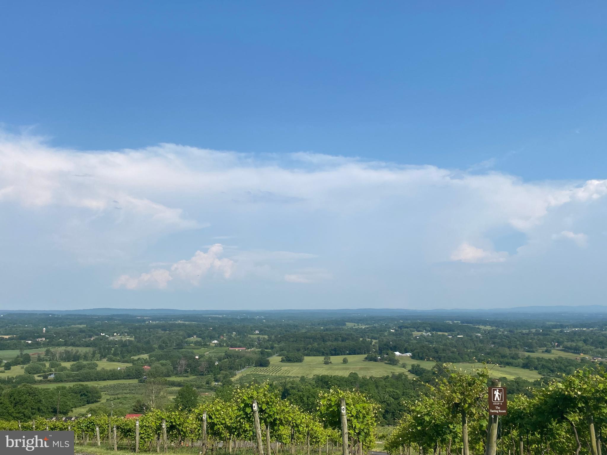 20814 Furr Road Round Hill, VA 20141 - Photo 36 of 41 Many local wineries/breweries
