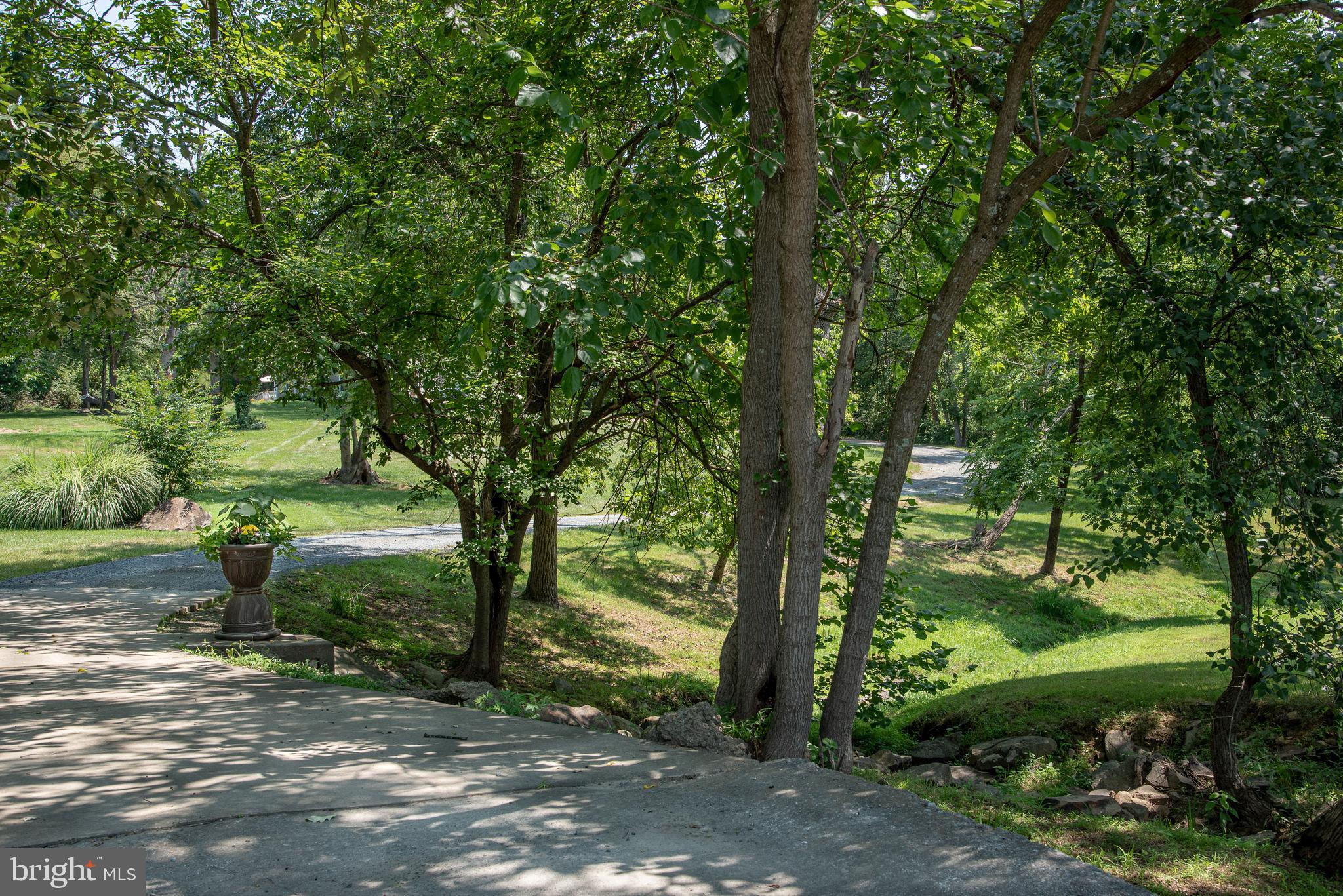 20814 Furr Road Round Hill, VA 20141 - Photo 8 of 41 Winding drive over bridge
