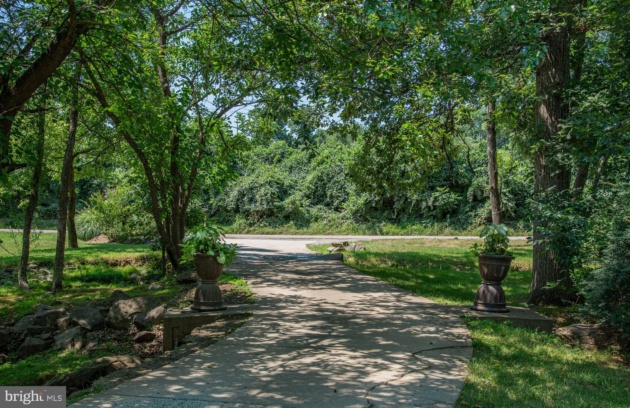 20814 Furr Road Round Hill, VA 20141 - Photo 10 of 41 Wooded and Cleared yard with small stream