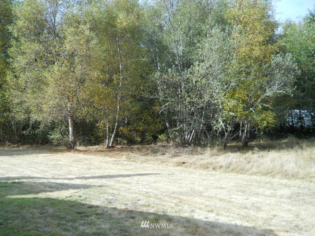 4404 Sandridge Road Long Beach, WA 98631 - Photo 14 of 15 Gallery Image 14