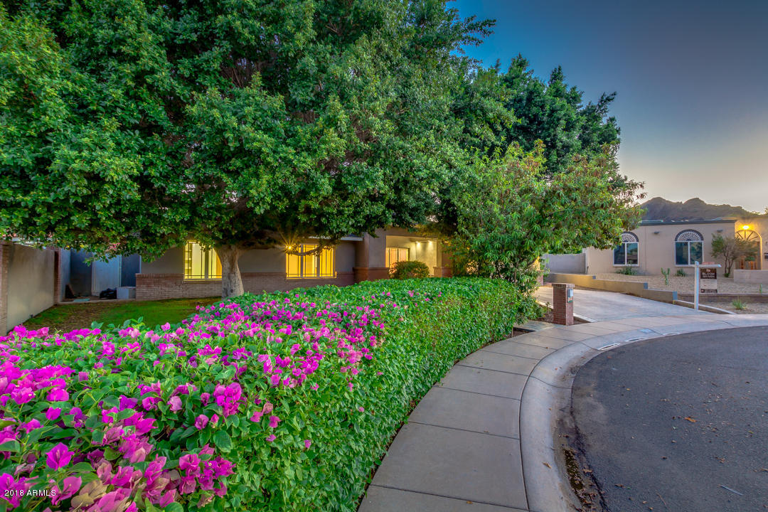 2523 East Cochise Road Phoenix, AZ 85028 - Photo 10 of 80 01-Cochise