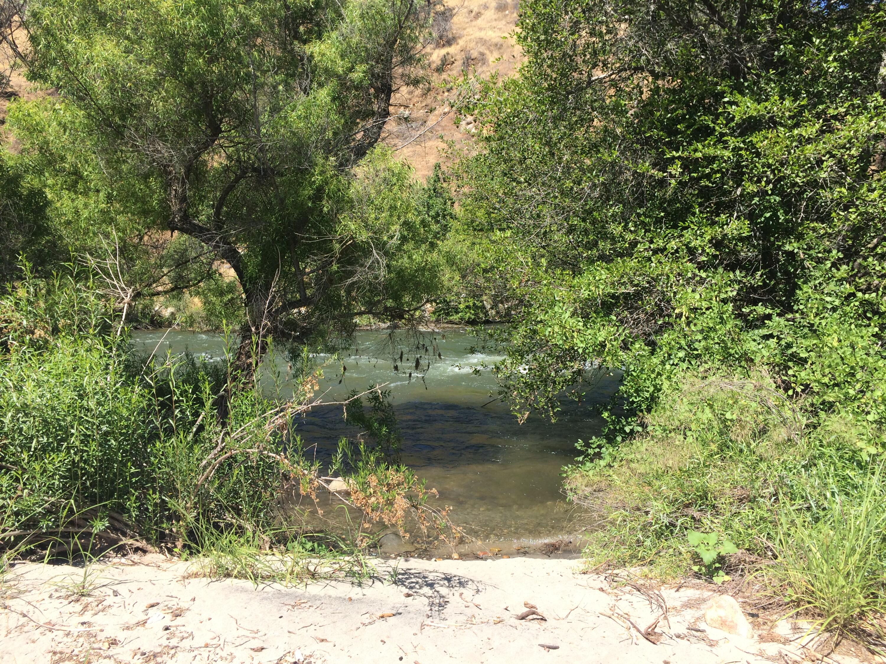 0 Sierra Drive Three Rivers, CA 93271 - Photo 4 of 17 a view of a yard