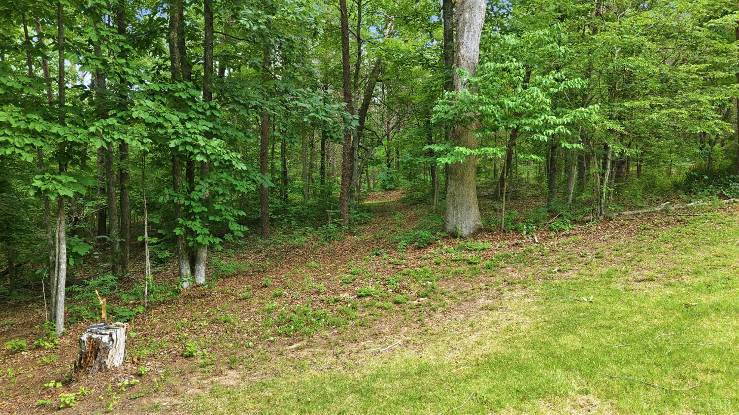 Undisclosed Address Spout Spring, VA 24593 - Photo 85 of 96 a fire pit in middle of forest