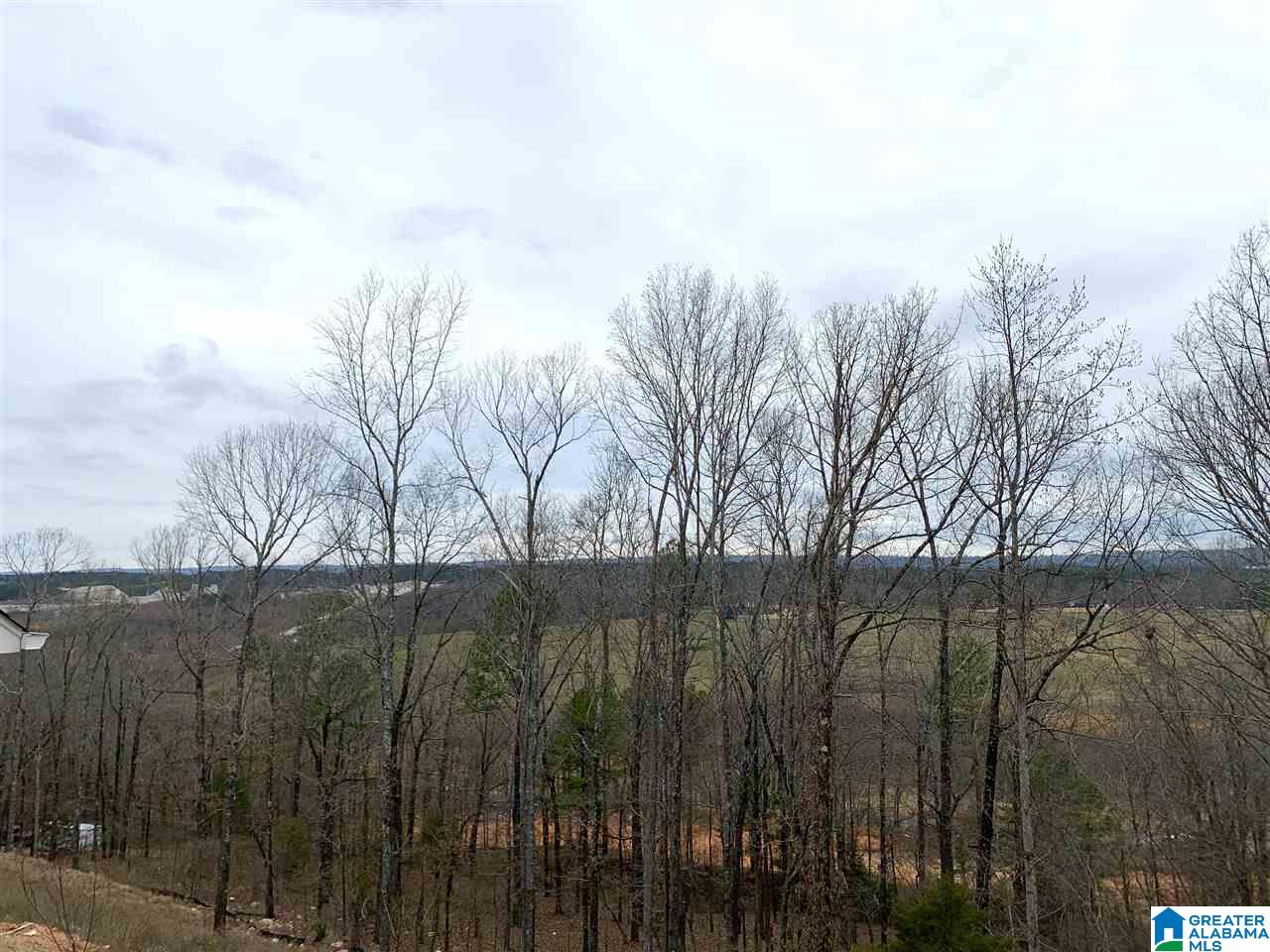 1085 Camellia Ridge Drive Pelham, AL 35124 - Photo 40 of 48