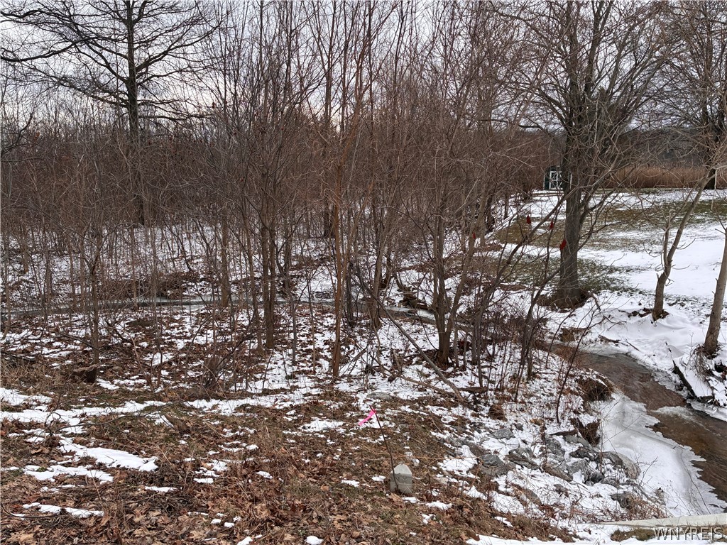 2330 Ridge Road Ransomville, NY 14131 - Photo 20 of 31