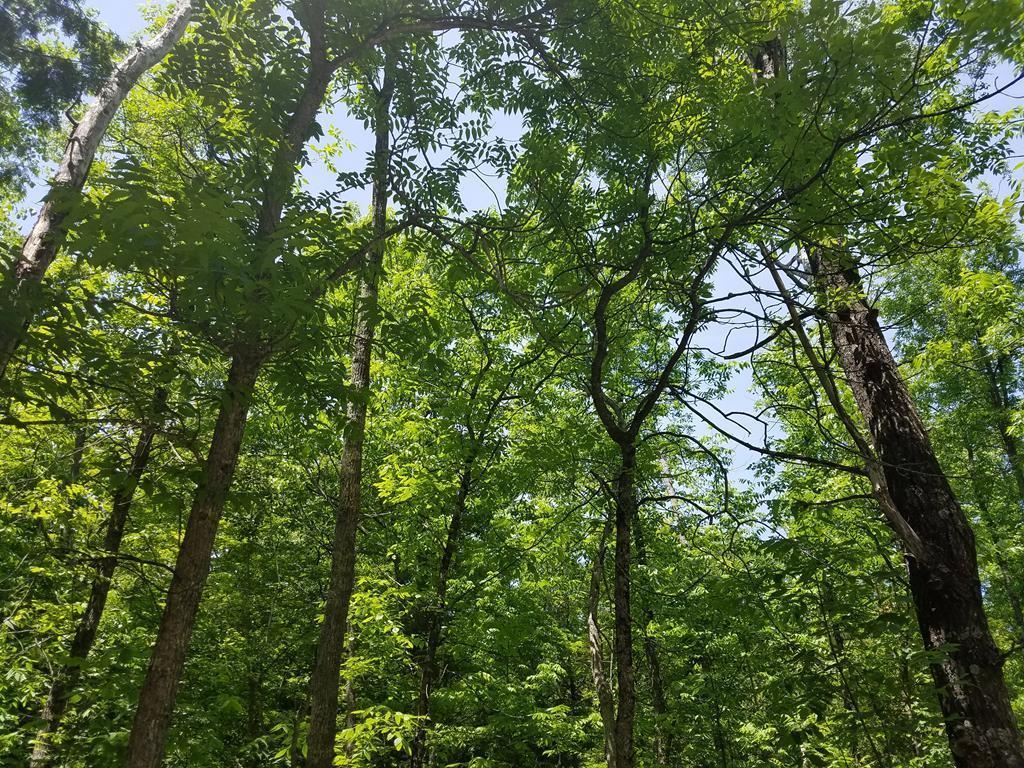 0 Garrett Bay Road Ellison Bay, WI 54210 - Photo 1 of 1