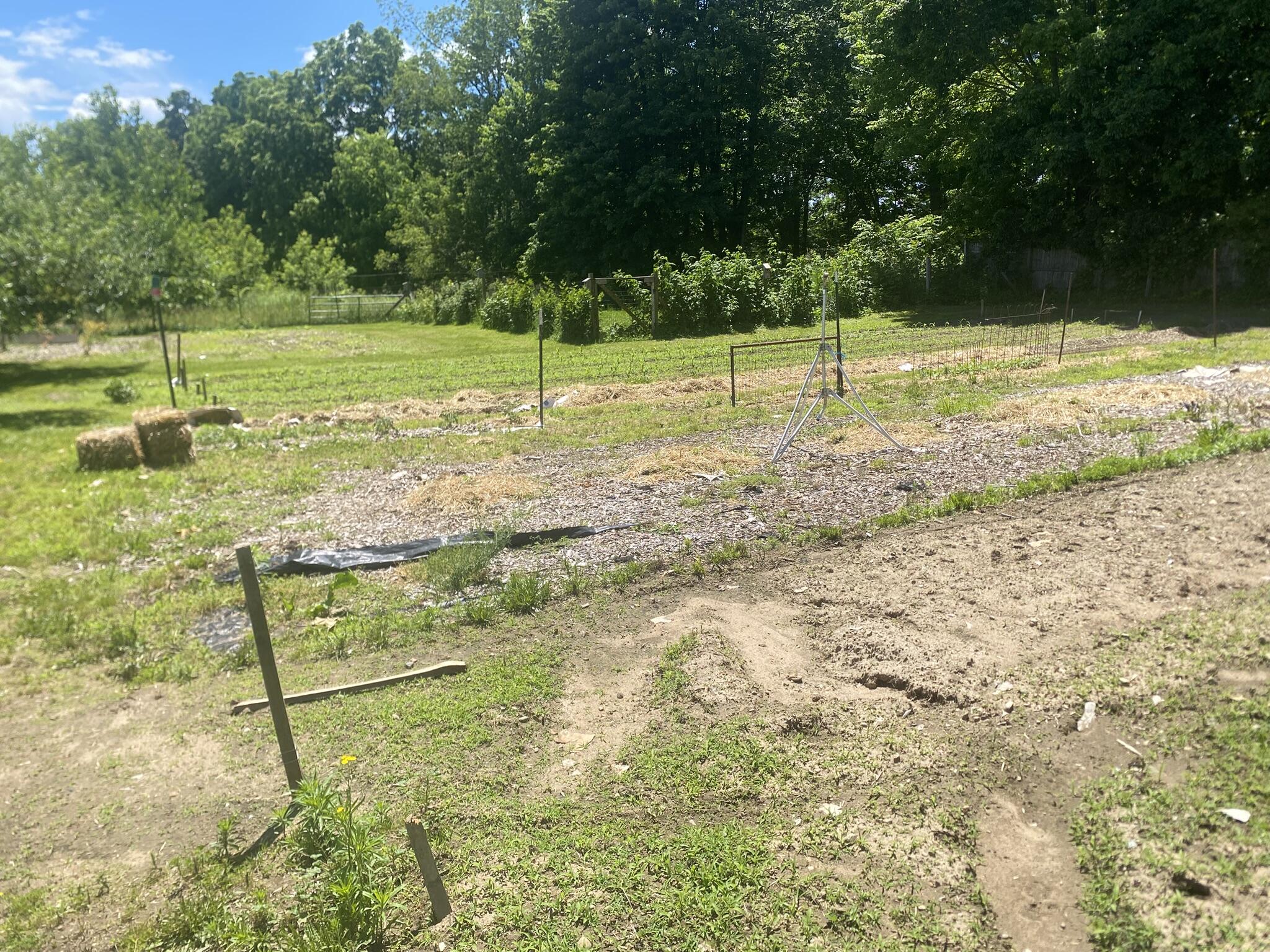 12915 Cassidy Road Bellevue, MI 49021 - Photo 112 of 128 IMG_9386