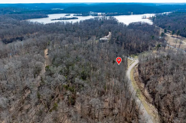 a view of city and a forest