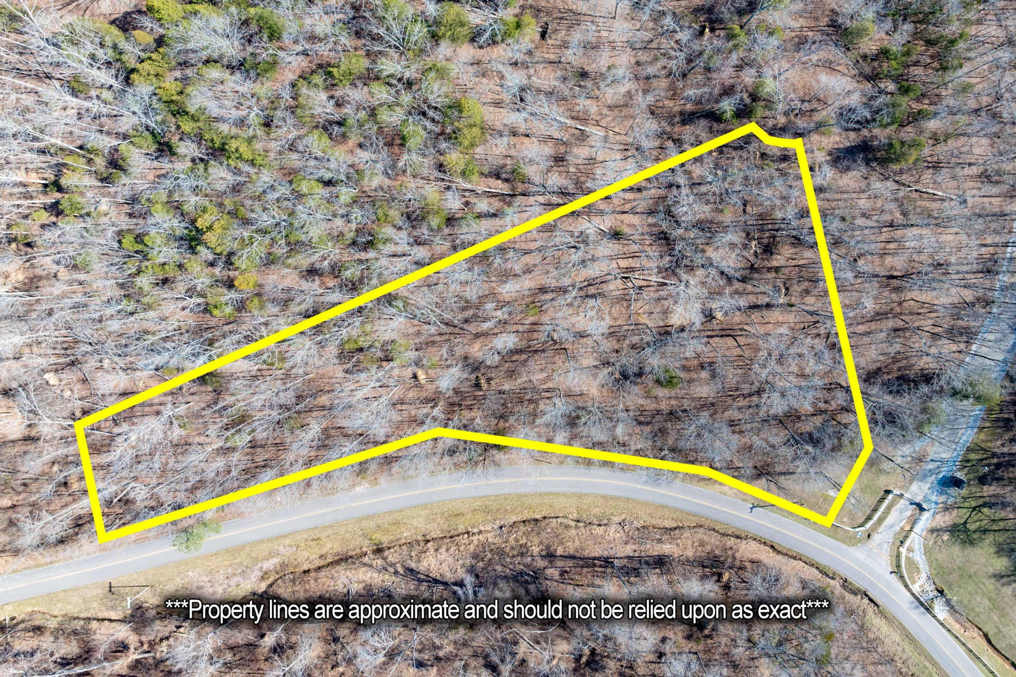 0 Deer Hollow Road Parsons, TN 38363 - Photo 2 of 10 a view of swimming pool