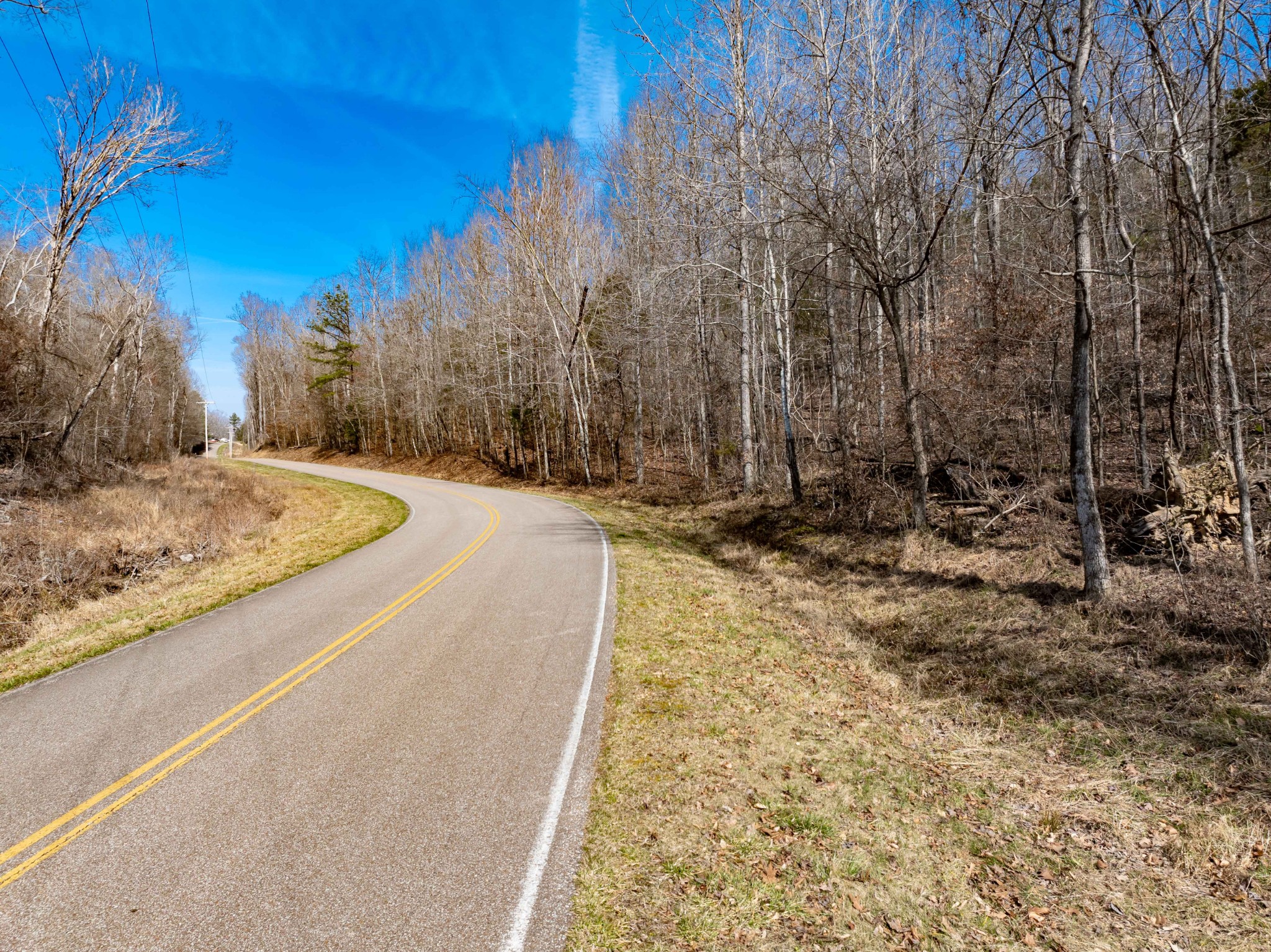 0 Deer Hollow Road Parsons, TN 38363 - Photo 5 of 10 a view of a backyard of the house