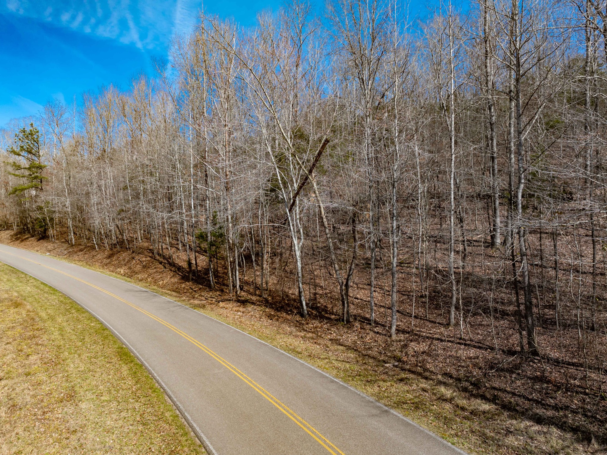 0 Deer Hollow Road Parsons, TN 38363 - Photo 7 of 10 a view of a backyard of the house