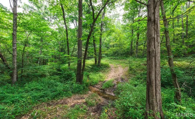 $85,000 | 3 Cedar Ford Road, Cook Sta, MO 65449