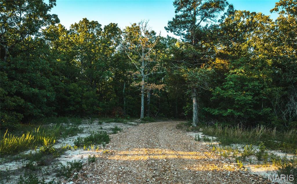 3 Cedar Ford Road Cook Sta, MO 65449 - Photo 24 of 49