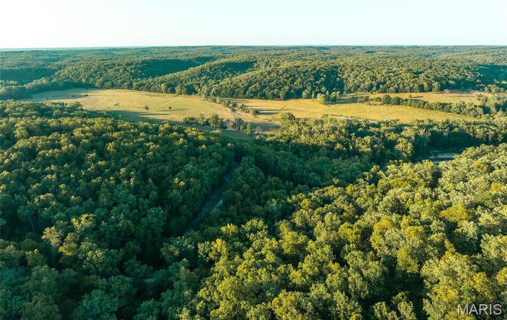 3 Cedar Ford Road Cook Sta, MO 65449 - Photo 38 of 49