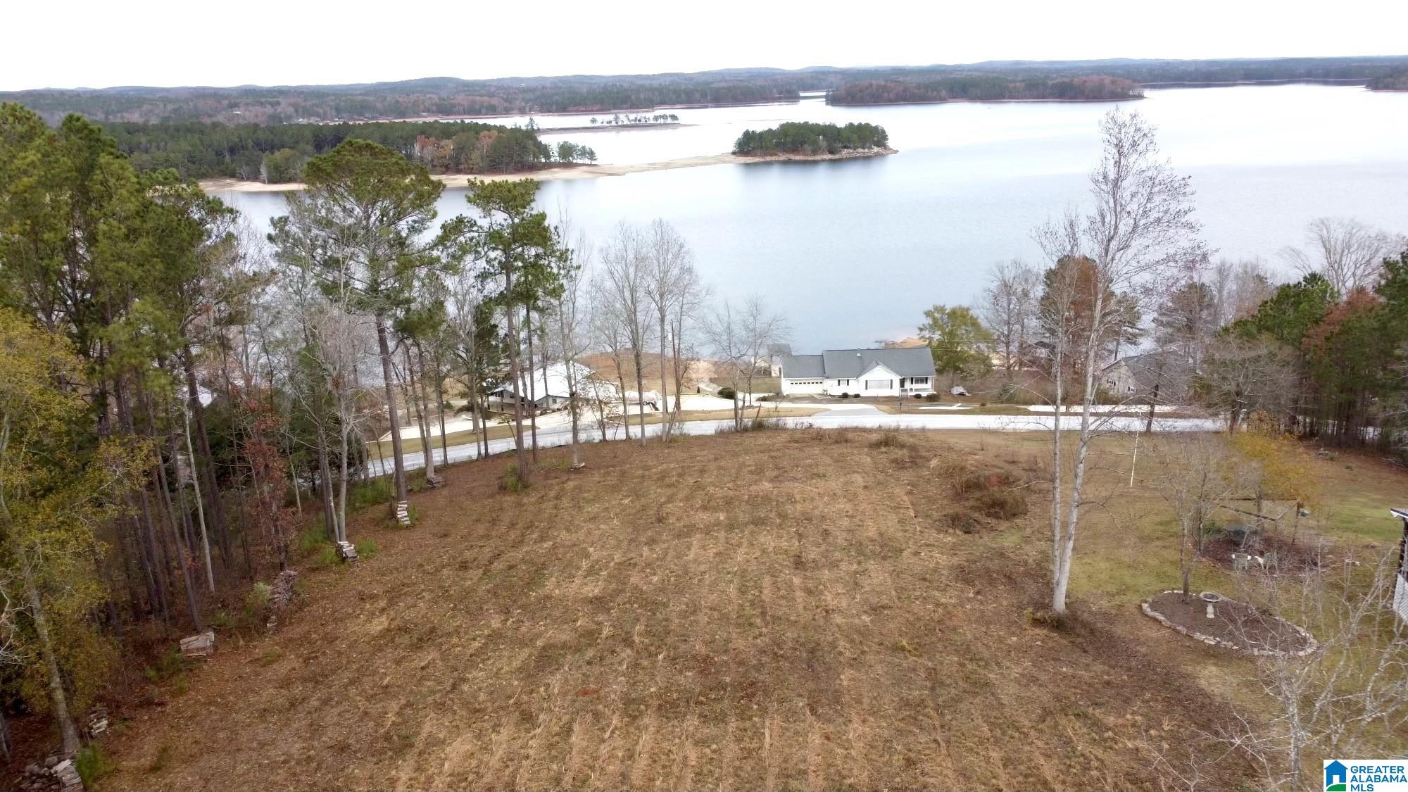 Overlook Drive, Unit 3 Lineville, AL 36266 - Photo 4 of 10