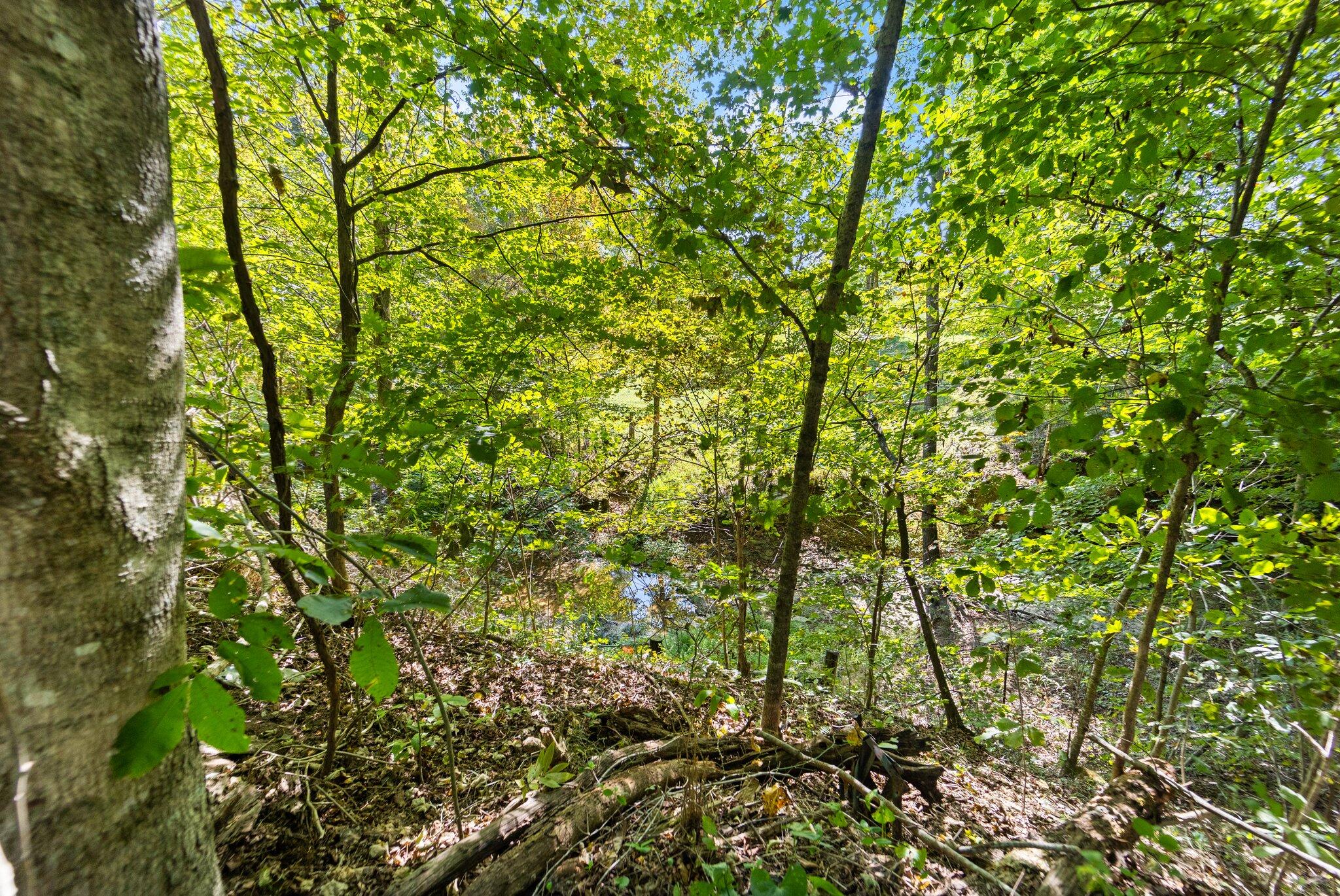 2015 Ellison Pulaski Road Eubank, KY 42567 - Photo 18 of 48 47-web-or-mls-NJ9A7426