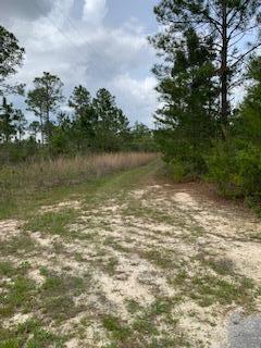 187 Don Graff Road Freeport, FL 32439 - Photo 6 of 7 a view of a lake with houses in the back