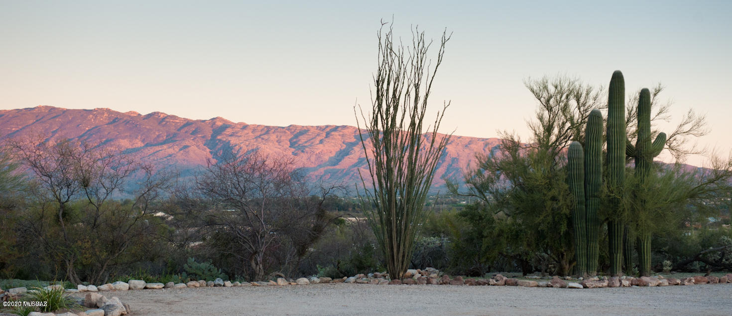 2820 North Cactus Flower Road Tucson, AZ 85749 - Photo 34 of 36