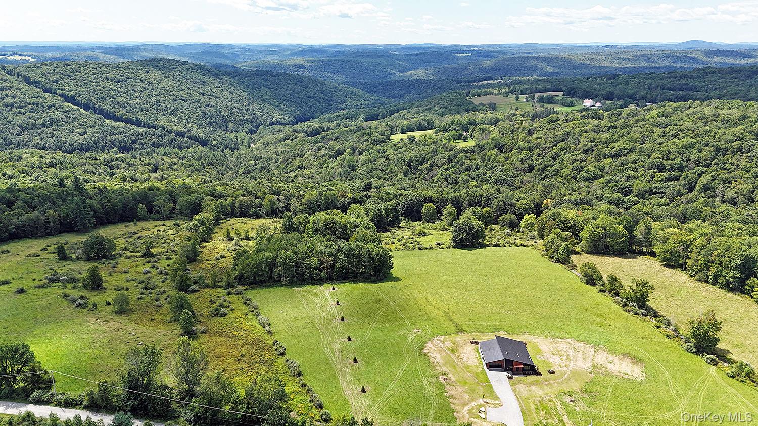 199 Henderson Road Hankins, NY 12741 - Photo 4 of 28 12+ acres; Lots of room to roam and soak in the long-range mountain views!
