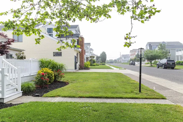 a view of a garden with a tree