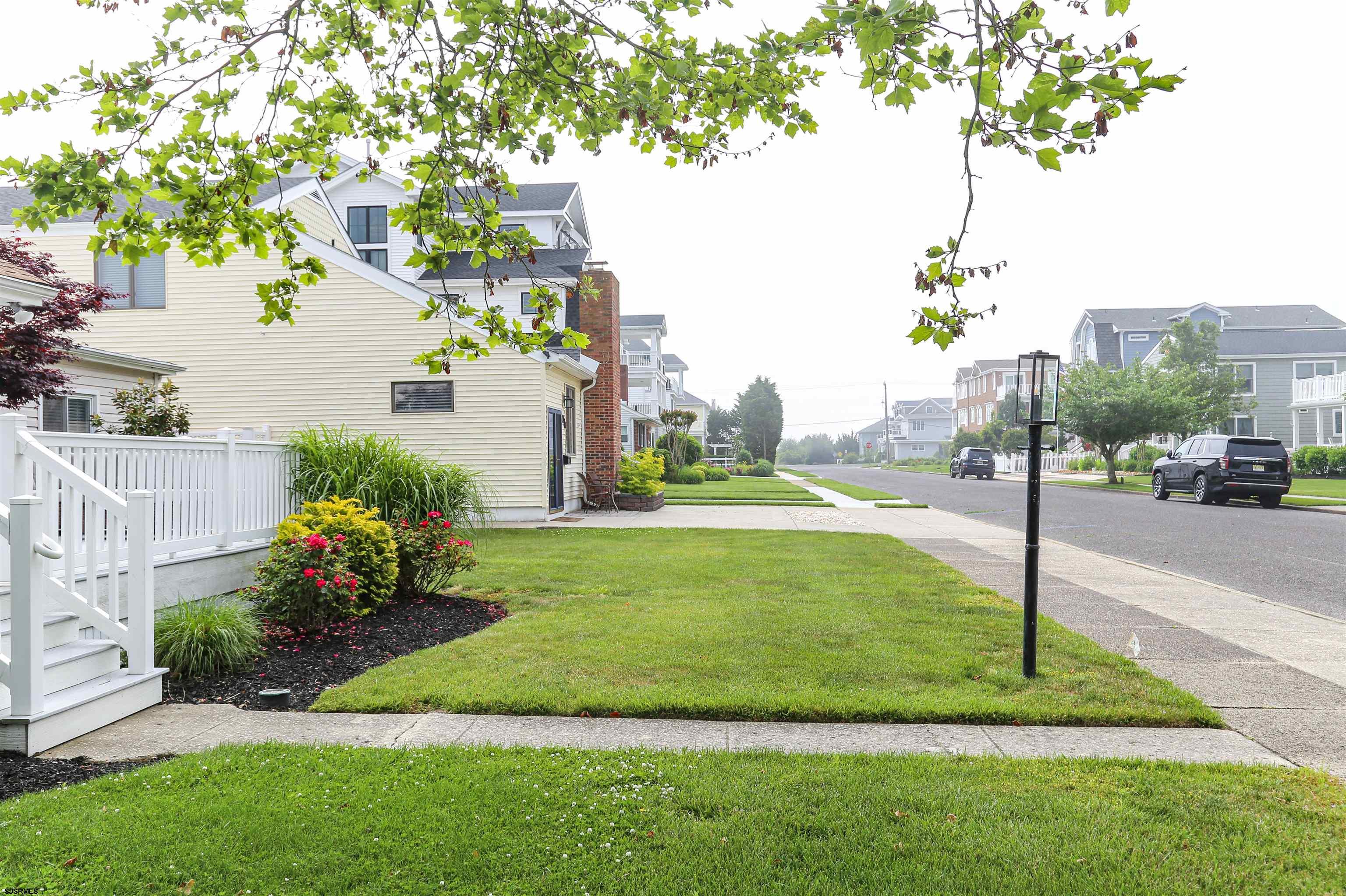 307 28th Street South Brigantine, NJ 08203 - Photo 4 of 38 a view of a garden with a tree