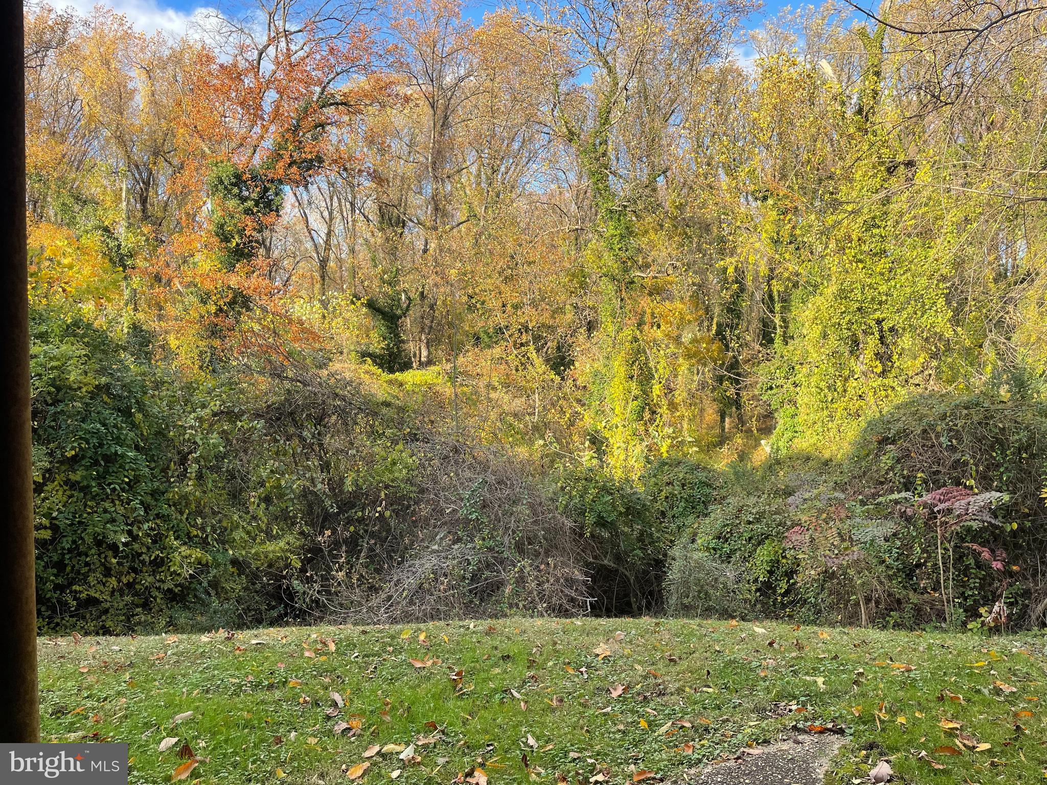 16 Brice Road Annapolis, MD 21409 - Photo 21 of 26 a view of a yard