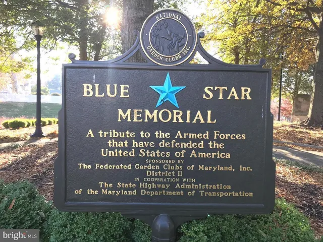 a view of a park with large trees