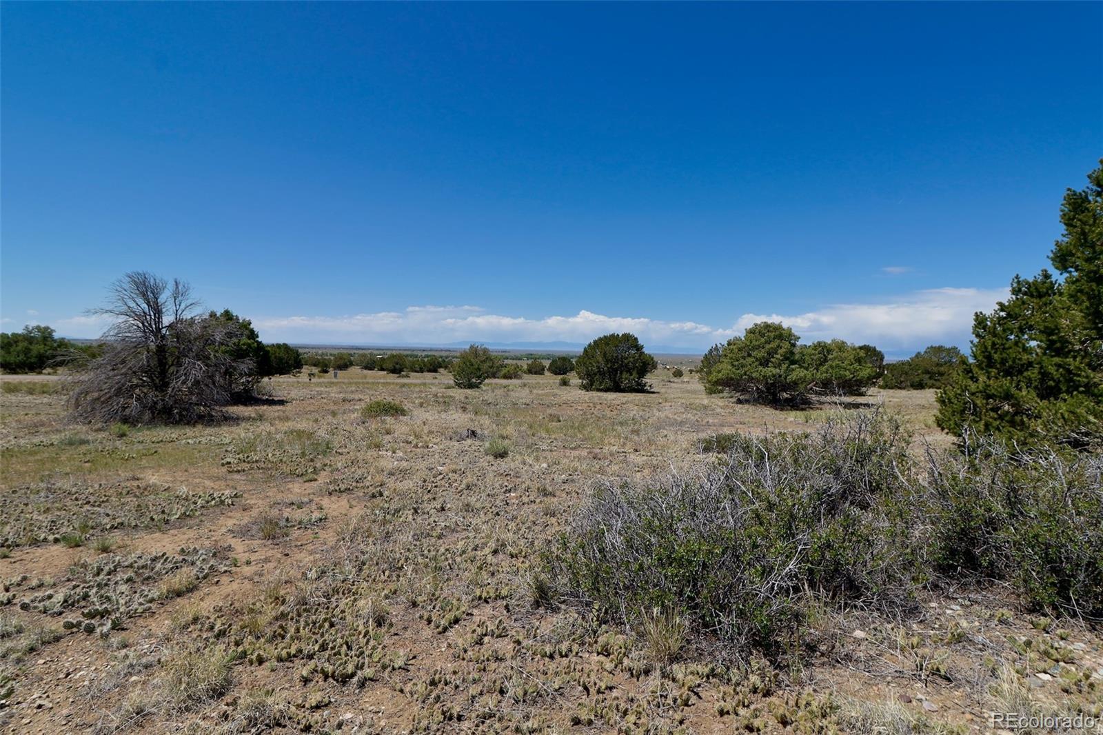 1515 Wagon Wheel Road Crestone, CO 81131 - Photo 6 of 15 a view of a dry yard with trees