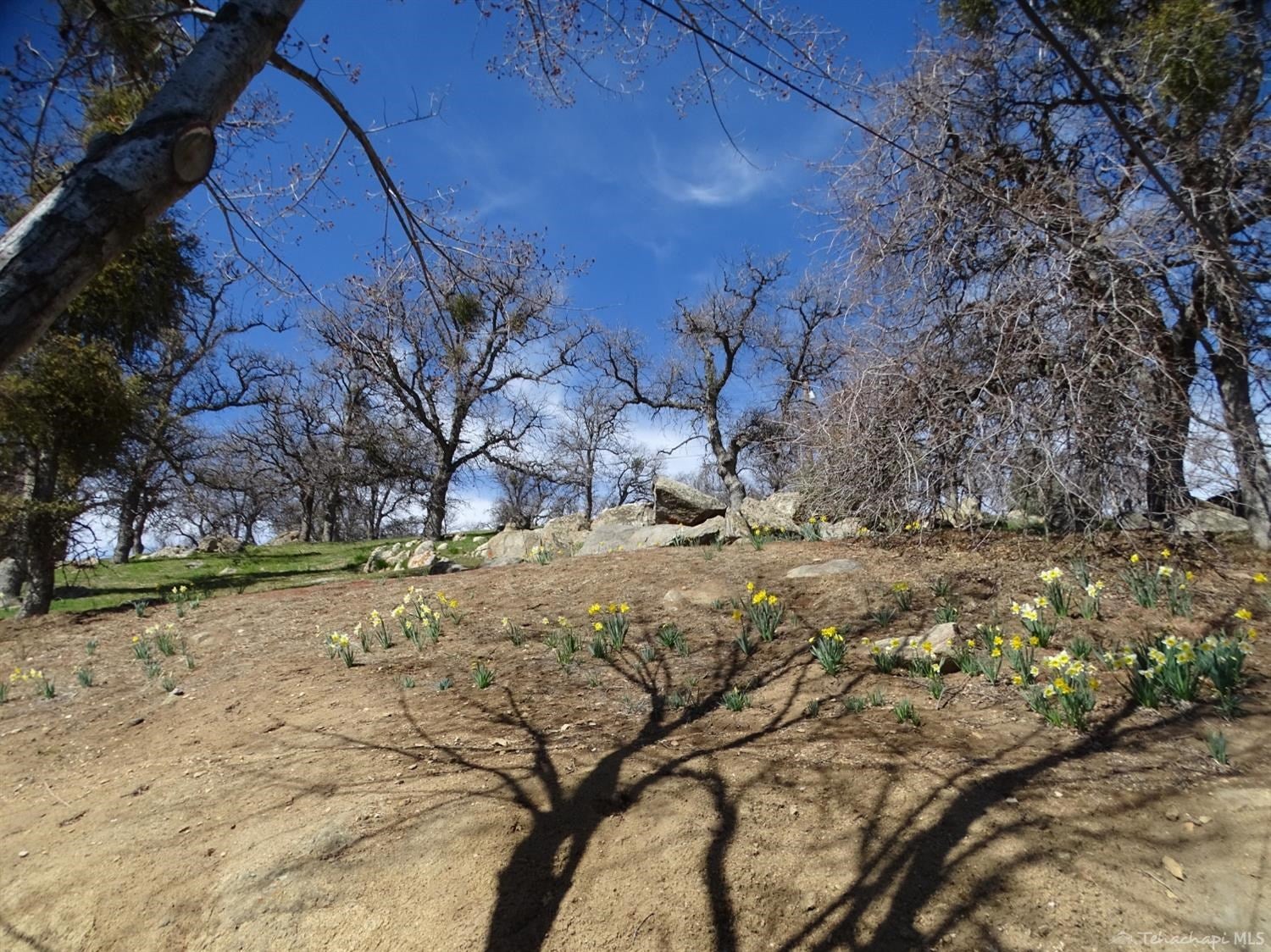 20501 Old Town Road Tehachapi, CA 93561 - Photo 35 of 36 Gallery Image 35