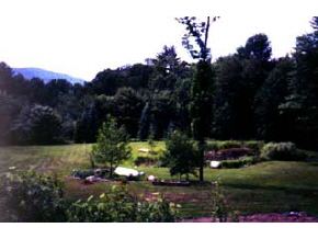 . Tory Hill Road Langdon, NH 03602 - Photo 2 of 2