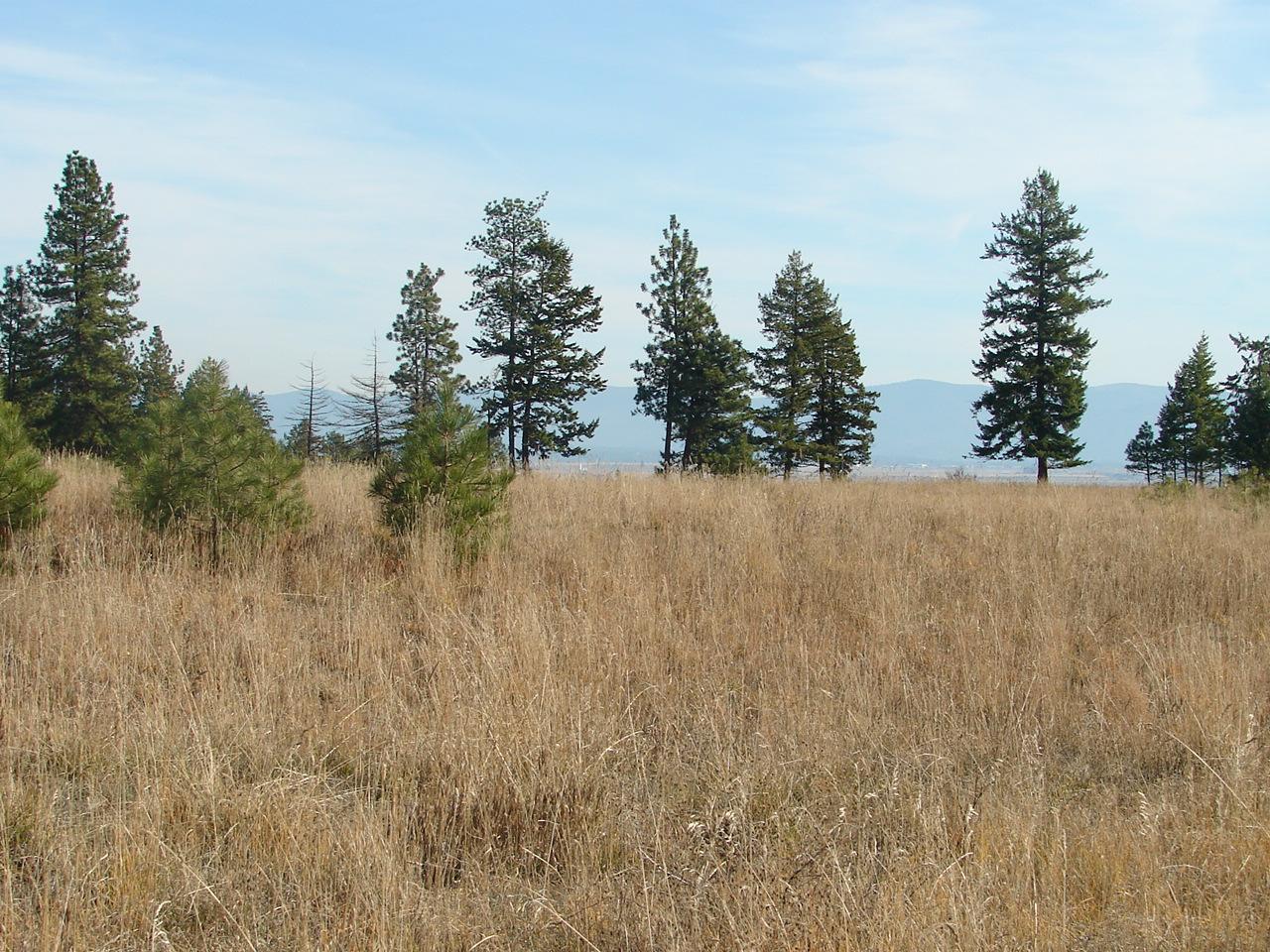 L13-b 2 West Hoyt Road Rathdrum, ID 83858 - Photo 1 of 1 Gorgeous Acreage