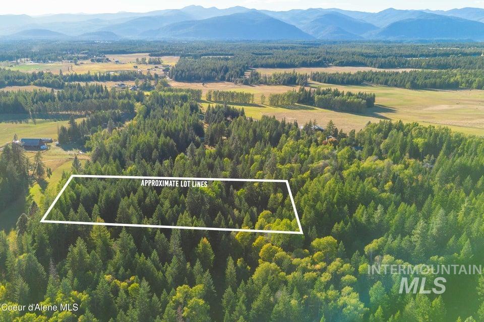 62 Reservoir Road Bonners Ferry, ID 83805 - Photo 11 of 13 View of property location featuring a forest and property boundaries highlighted