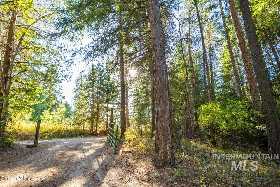62 Reservoir Road Bonners Ferry, ID 83805 - Photo 2 of 13 View of dirt / gravel road with a view of trees