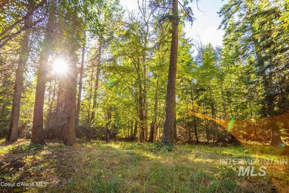 62 Reservoir Road Bonners Ferry, ID 83805 - Photo 5 of 13 View of undeveloped land