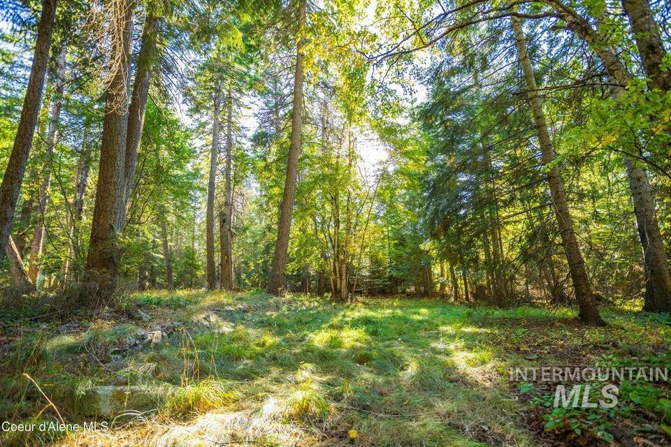 62 Reservoir Road Bonners Ferry, ID 83805 - Photo 8 of 13 View of wooded area