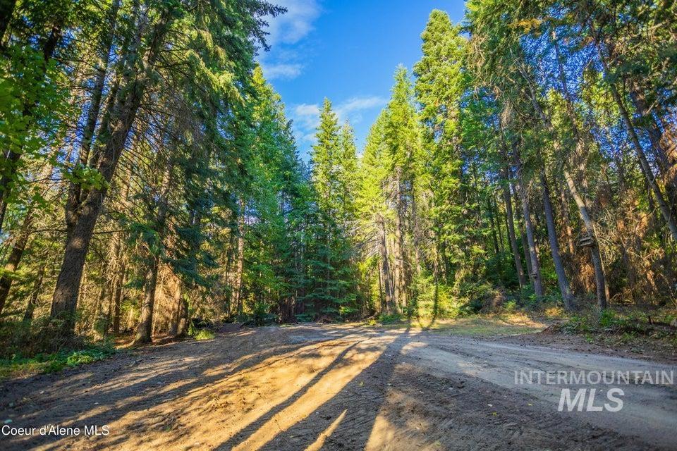 62 Reservoir Road Bonners Ferry, ID 83805 - Photo 10 of 13 View of dirt / gravel road with a view of trees