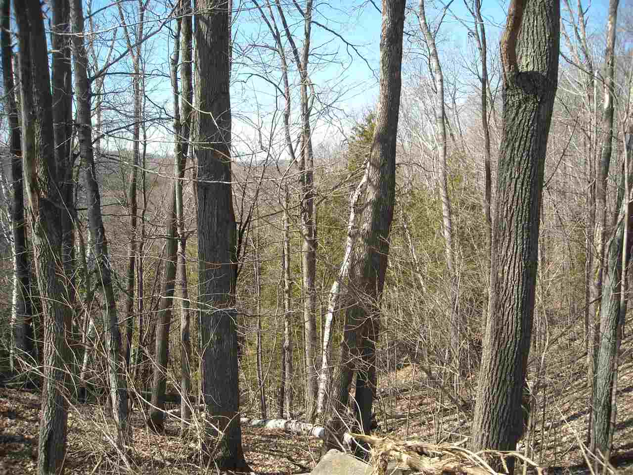 7644 Homestead Road Benzonia, MI 49616 - Photo 47 of 51 1798406-46.JPG
