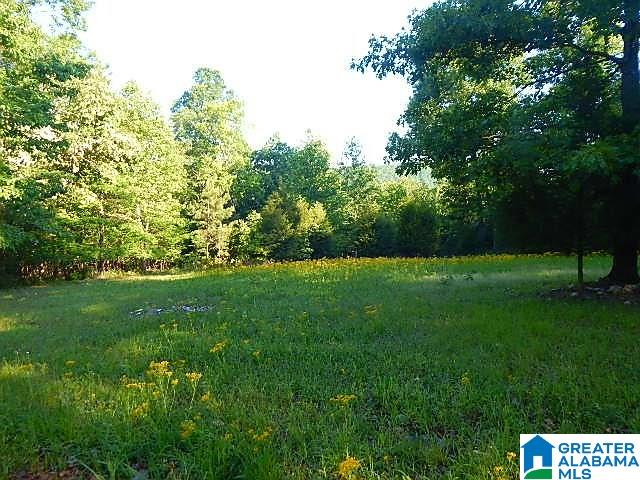 Sunhill Lane, Unit 14 Oneonta, AL 35121 - Photo 10 of 27