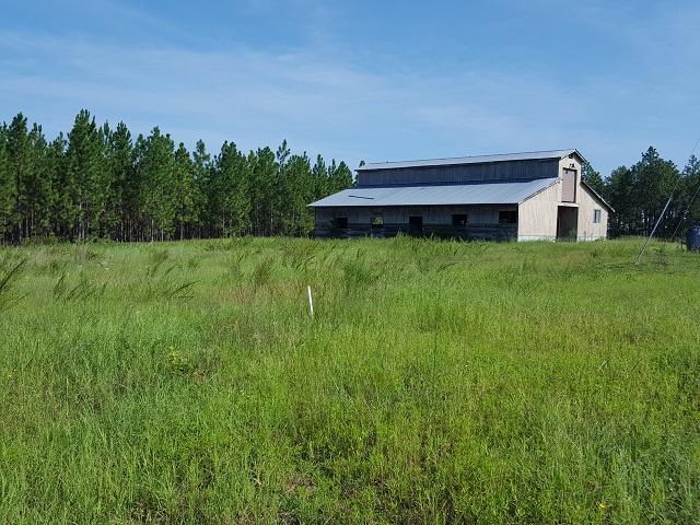 315 Derby Road Hoffman, NC 28347 - Photo 12 of 26 HORSEBARN2