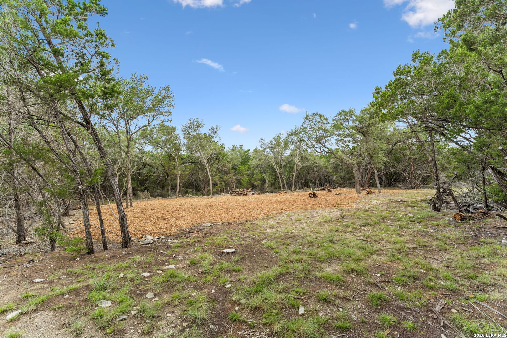 0 Stallion Estates (lot 89) Spring Branch, TX 78070 - Photo 9 of 14