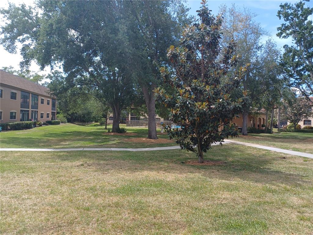 12900 Vonn Road, Unit C101 Largo, FL 33774 - Photo 14 of 15