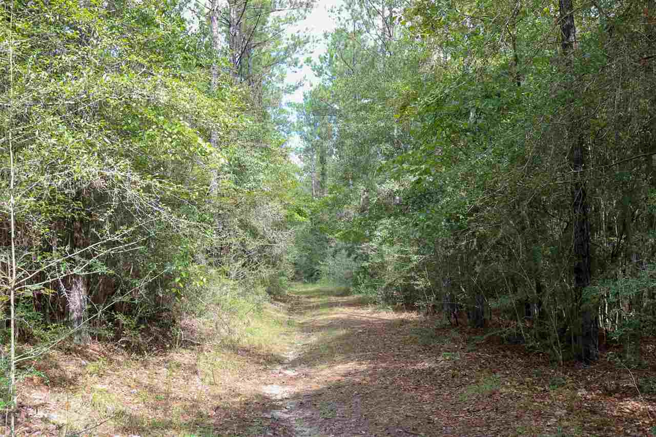 0 Deer Run Road Leakesville, MS 39451 - Photo 8 of 15 Photo 8