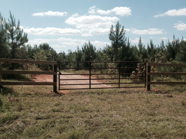 Main View