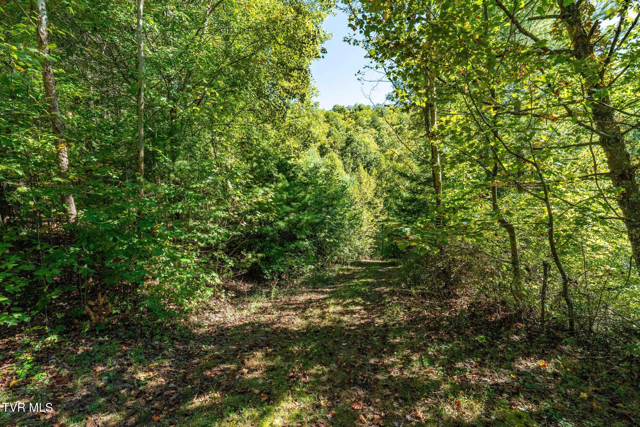 1111 R D Campbell Road, Unit 9 & 10 Butler, TN 37640 - Photo 18 of 34 1111 RD Campbell Road (41 of 41)