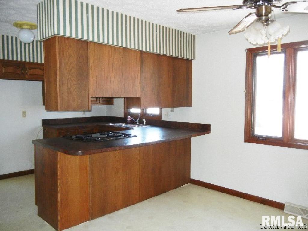 13 Mishawaka Drive Rochester, IL 62563 - Photo 5 of 15