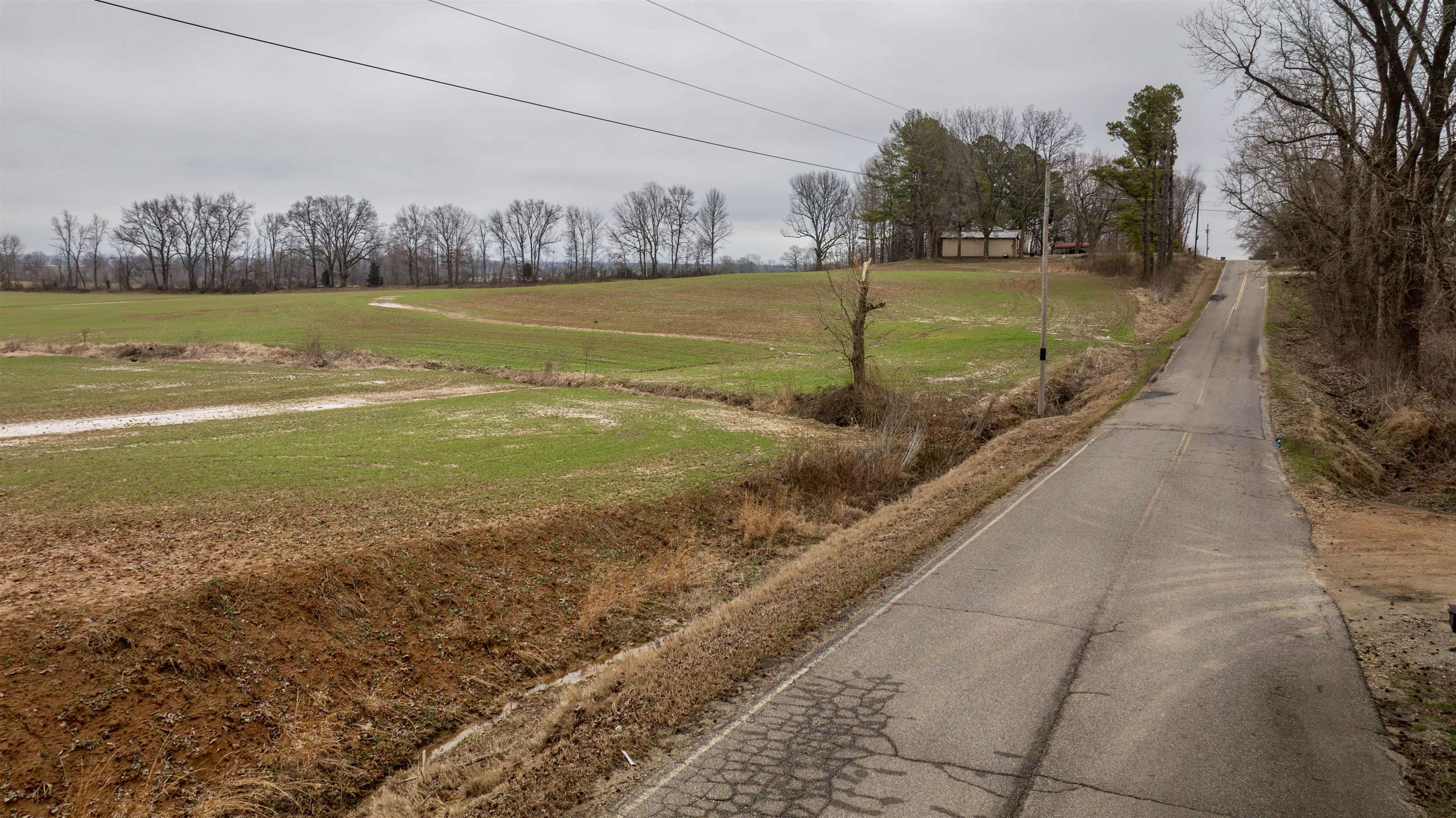 0 Floyd Akin Road Gates, TN 38037 - Photo 17 of 20 a view of a lake with a big yard