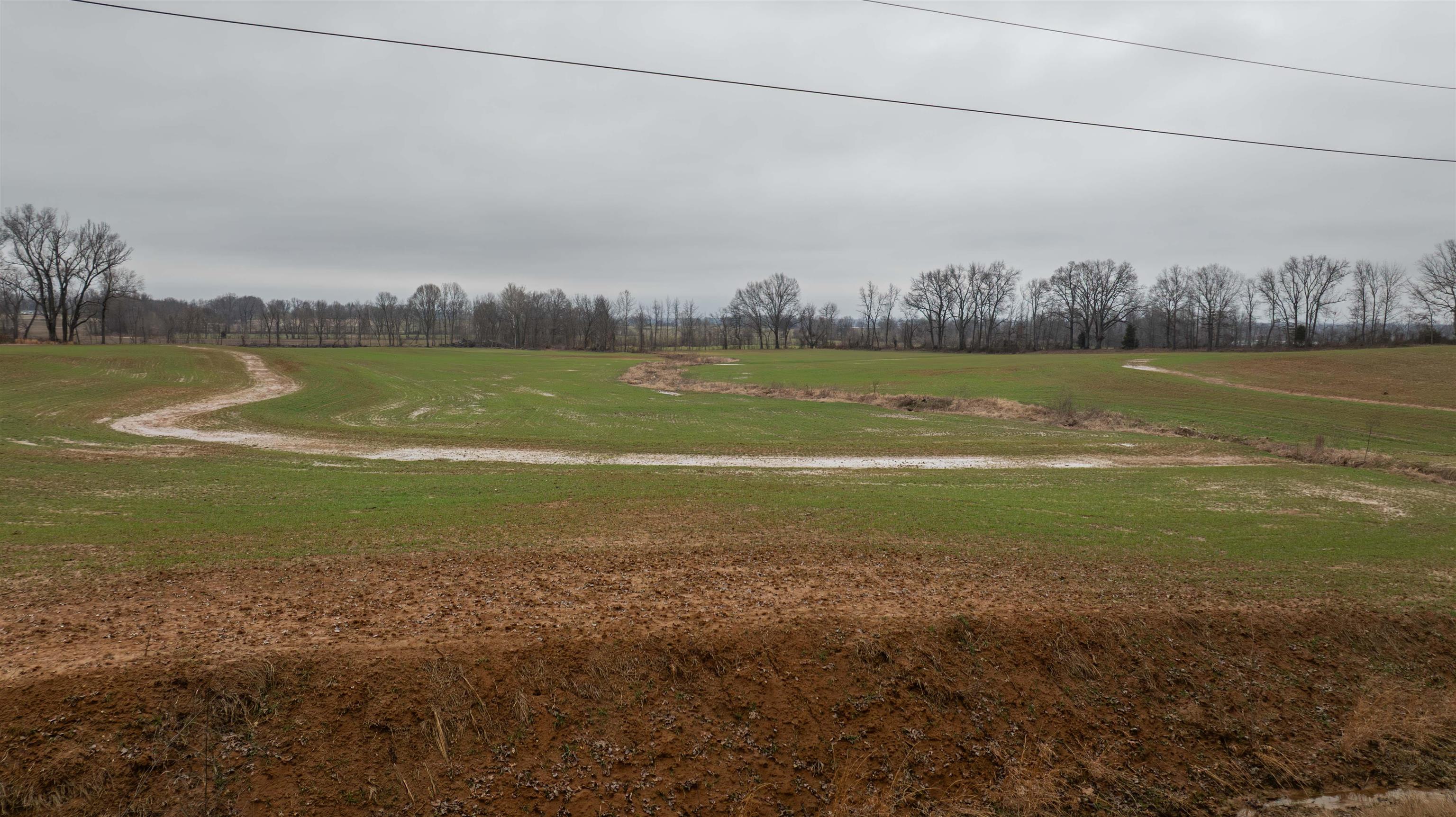 0 Floyd Akin Road Gates, TN 38037 - Photo 6 of 20 a view of a field with a lake