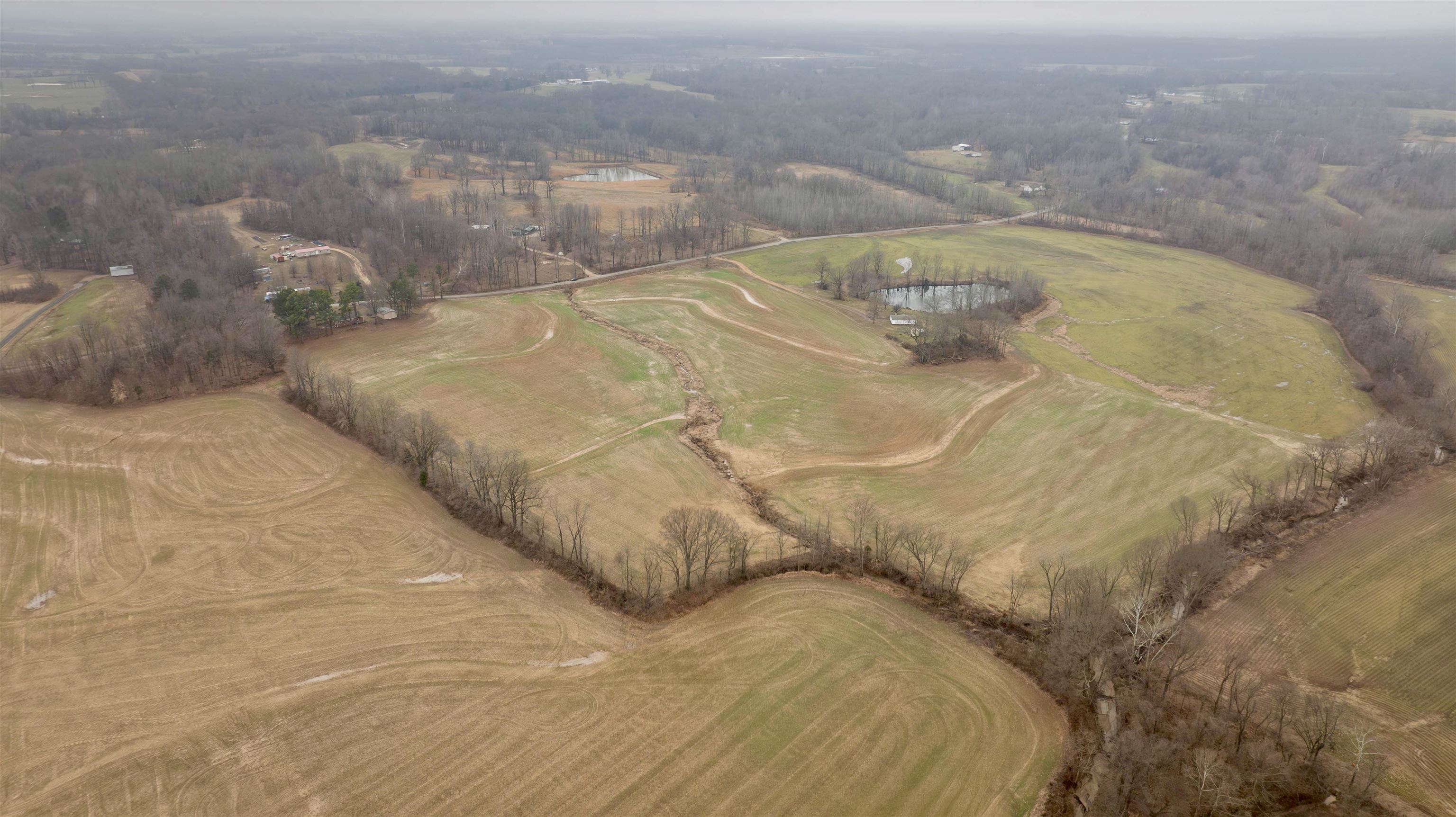 0 Floyd Akin Road Gates, TN 38037 - Photo 7 of 20